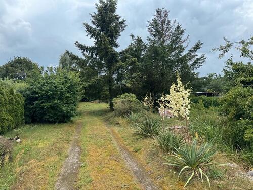 Foto - Einfamilienhaus in Zehdenick zum Kaufen