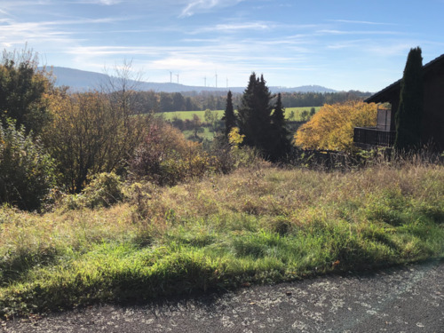 Foto - Traumhaftes und großes Grundstück (1.663 qm)