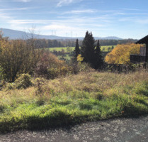 Traumhaftes und großes Grundstück (1.663 qm) - Trendelburg