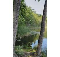 Waldgrundstück direkt am See - 250,00 EUR Kaltmiete, ca.  0,00 m² in Nuthe-Urstromtal (PLZ: 14947)