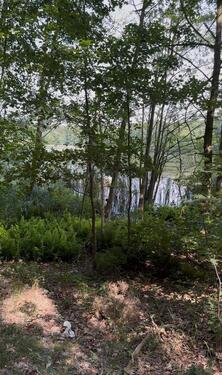 Foto - Grundstück zur Miete in Nuthe-Urstromtal