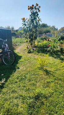 Foto - Grundstück in Eilenburg zur Miete