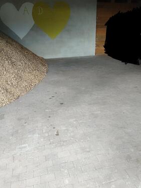 Foto - Stellplatz für Wohnwagen Anhänger