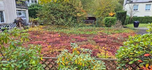 Foto - Etagenwohnung in Bremen zur Miete
