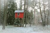 Foto - 