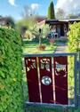 Foto - Wochenendhaus am See, Kamin, Eigentum, Sternbg. Seenlandschaft