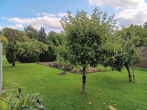 Foto - Grundstück in Bischofswerda zur Miete
