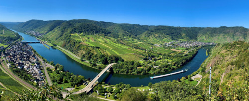 Foto - Waldstück bei Neef, 988m², Top Aussicht über die Mosel