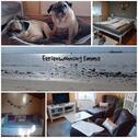 Foto - Ferienwohnung, Ferienwohnung mit Hund, Ferienwohnung ElbeNordsee