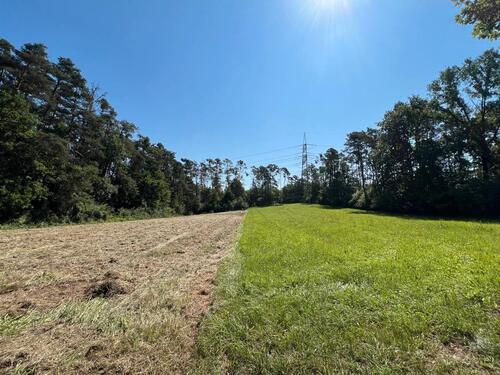Foto - Ruhiges traumhaftes Freizeitgrundstück Wiese mit Wald (optional)