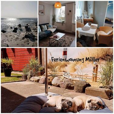 Foto - Ferienwohnung mit Hund, Ferienwohnung Nordsee Elbe