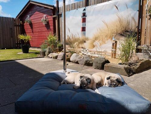 Foto - andere zur Miete in Brunsbüttel