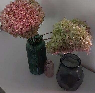 Foto - Mietwohnung - 500,00 EUR Kaltmiete,