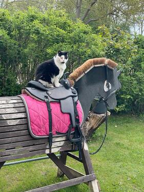 Foto - andere zur Miete in Löbnitz