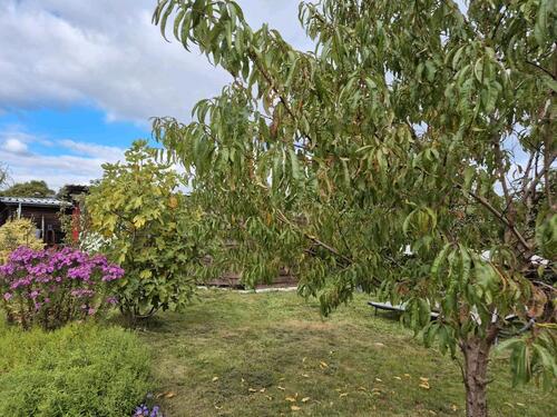 Foto - Kleingarten - 2.250,00 EUR Kaltmiete, ca.  0,00 m²