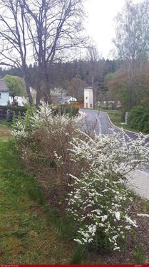 Foto - Mehrfamilienhaus, Wohnhaus in Thierstein zum Kaufen