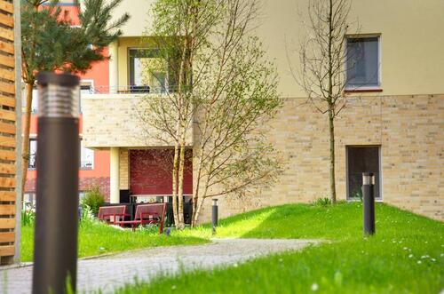 Foto - 3 Zimmer Terrassenwohnung in Greifswald