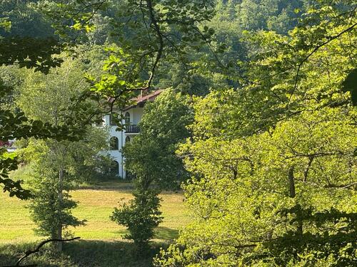 Foto - 5 Zimmer Einfamilienhaus zum Kaufen in Nentershausen