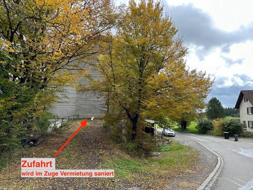 Foto - andere in Wangen im Allgäu