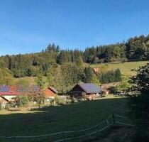 Teilmöblierte Wohnung in ruhiger Lage - Bühlertal