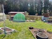 Foto - Biete Pachtgarten Suhl Döllberg Vereinsgarten
