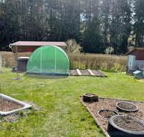Biete Pachtgarten Suhl Döllberg Vereinsgarten
