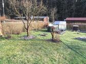 Foto - 