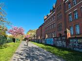 Foto - Hochparterre in Berlin zum Kaufen