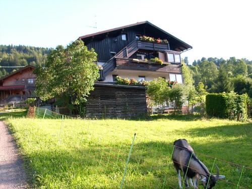 Foto - 