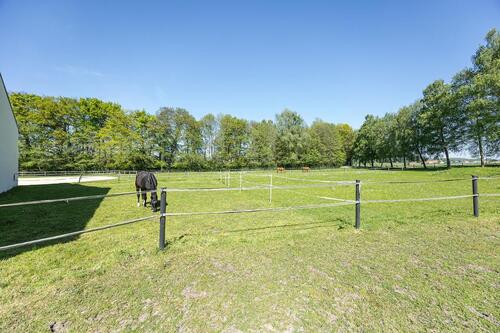 Foto - Einfamilienhaus in Borgholzhausen