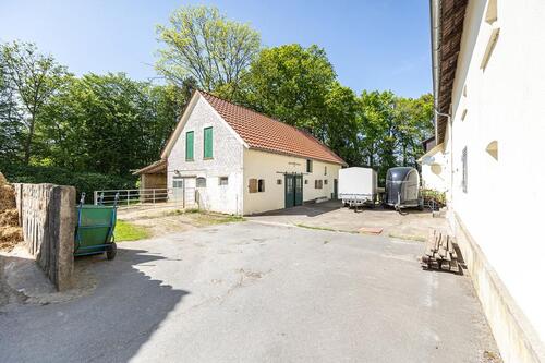 Foto - Einfamilienhaus in Borgholzhausen zum Kaufen