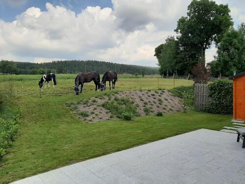Foto - Doppelhaushälfte in Greiz zur Miete