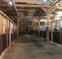 Pferdehaltung, Wohngemeinschaft, Mehrfamilienhaus - Nossen