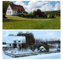Charmantes Doppelhaus mit großem Garten & Potenzial - ruhige Lage - Diemelsee
