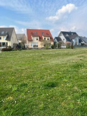 Foto - Großzügig und sonnig: Haus mit Blick i Grüne, Garage EBK Rastatt