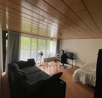 Einzimmerwohnung in Mainz-Kostheim ab dem 01.07.2026 - Wiesbaden