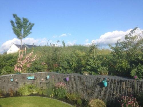 Foto - 3.5 Zimmer Bungalow zur Miete in Velburg