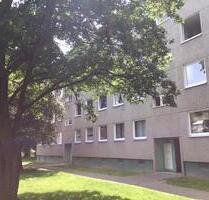 Ihr neues Zuhause: ansprechende 3-Zimmer-Wohnung in guter Wohnlage - Kassel Bettenhausen