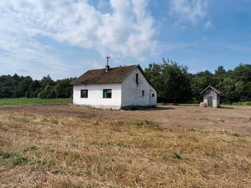 Foto - Haus und Land in SlatinaLaktasiBosnien 39000m2
