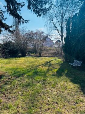 Foto - 3 Zimmer Einfamilienhaus zum Kaufen in Enkenbach-Alsenborn