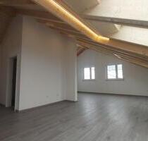 Moderne lichtdurchflutete 4-Zimmerwohnung Terrasse Garten Carport - Unterschwaningen