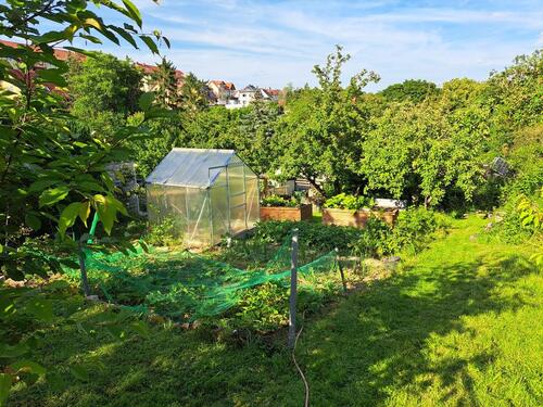 Foto - Grundstück zur Miete in Dornburg-Camburg