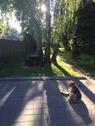 Foto - Einfamilienhaus in Kamen