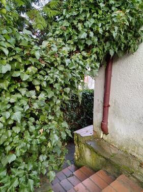 Foto - Einfamilienhaus zum Kaufen in Pfedelbach