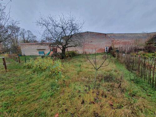 Foto - andere zur Miete in Dessau-Roßlau