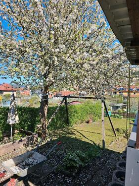 Foto - Grundstück zur Miete in Meiningen