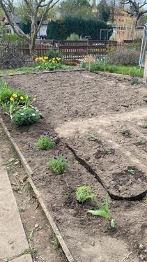 Foto - Grundst&uuml;ck zur Miete in Dresden