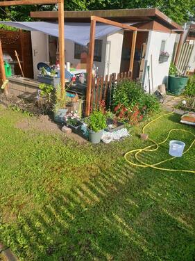 Foto - Grundst&uuml;ck zur Miete in Chemnitz