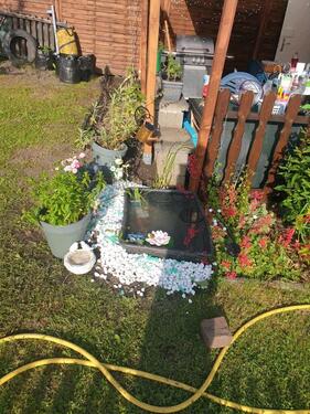 Foto - Grundst&uuml;ck in Chemnitz zur Miete