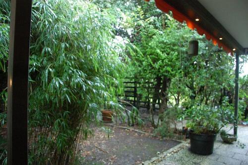 Foto - Hochparterre in Aachen zur Miete